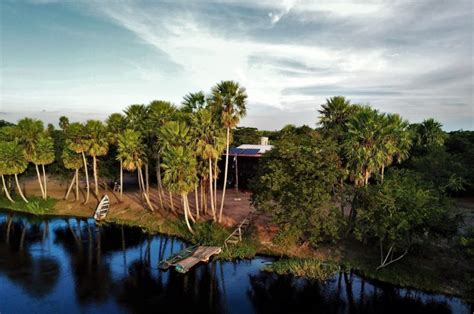 El Pantanal Paraguayo Ya Ingresó A La Lista Indicativa Del Patrimonio Mundial De La Unesco