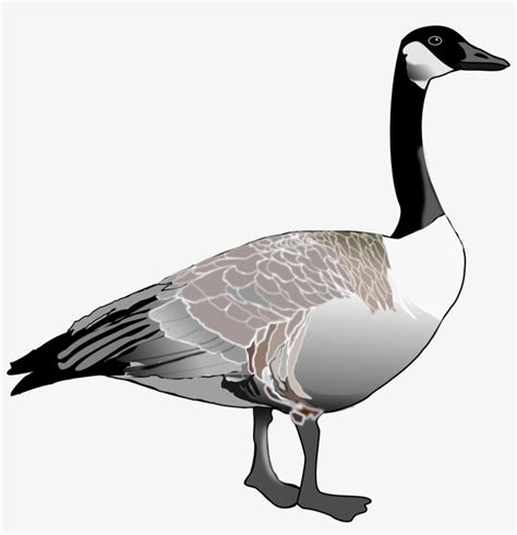 Premium Vector Goose Cartoon Colored Clipart Illustration Clip Art
