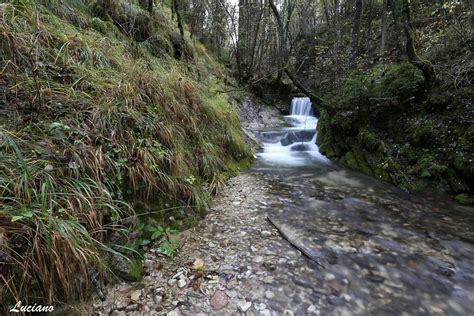 Ruscello Foto Immagini Paesaggi Laghi E Fiumi Grotte Foto Su