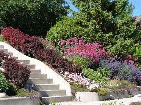 13 Sloping Garden Ideas On A Budget Backyard Boss