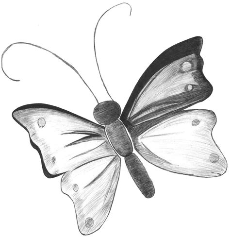 Dibujos A Lapiz De Mariposas