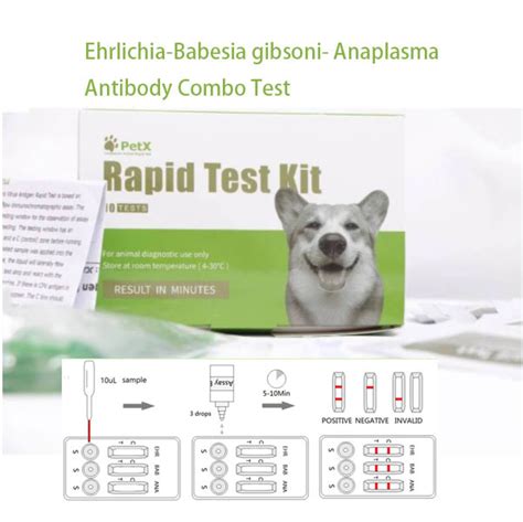 Ehrlichia Babesia Gibsoni Anaplasma Antibody Combo Test Ehrlichiosis