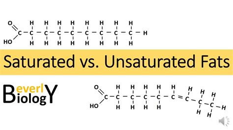 Saturated Vs Unsaturated Fats Youtube