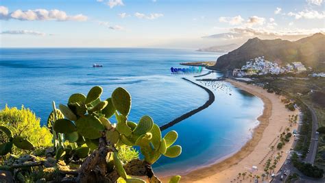 Holidays To Tenerife 2023 From £179 Loveholidays
