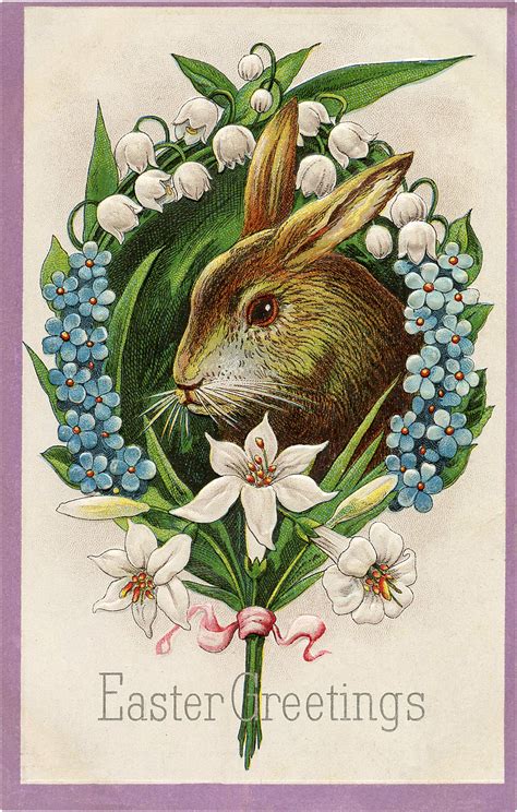 Download 22 Easter Bunny Images Free - Updated! - The Graphics Fairy