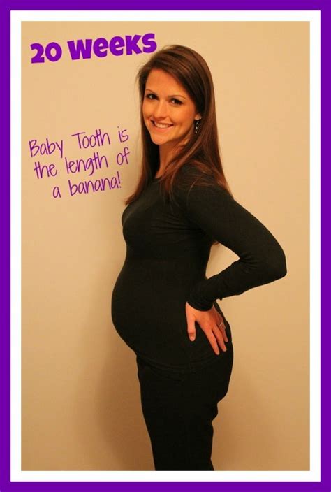 20 Weeks Pregnant Baby Bump Sweet Tooth Sweet Life