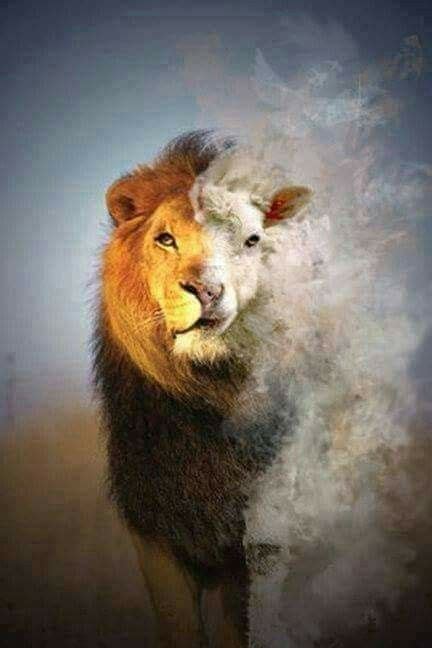 Pin By Hechi On Prophetic Art Lion And Lamb Lion Of Judah Prophetic Art