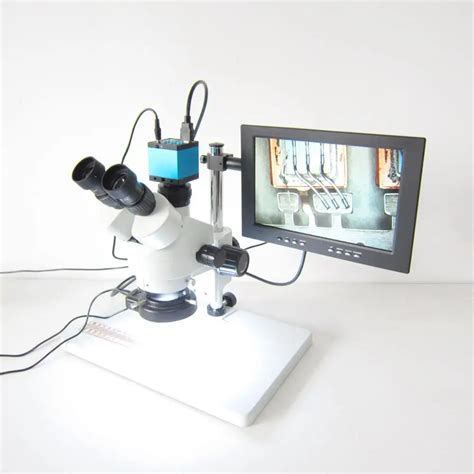 Microscopio Elettronico Hot Sex Picture