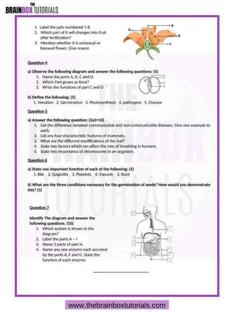 Download Icse Class 6 Biology Sample Paper For 2021 Free Pdf The