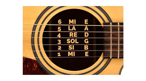 Nombres De Las Cuerdas De La Guitarra Y Sus Notas