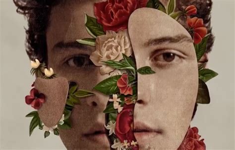 Fans Are Calling Out Shawn Mendes New Album Artwork For Using This App
