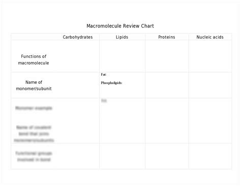 Savesave concept map (relationship of biomolecules) for later. NEW EXAMPLES OF PROTEINS BIOMOLECULES | example