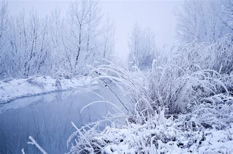 無料画像 風景 木 水 森林 草 ブランチ 霧 霜 川 氷 天気 シーズン 枝 猛吹雪 凍結 地質学的現象