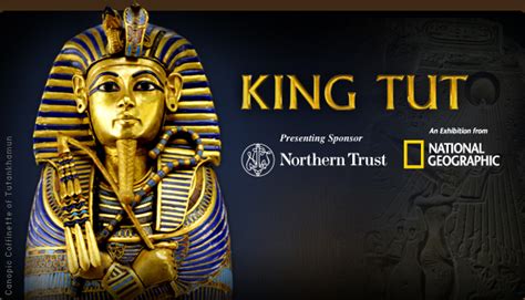 Alphapack Six Interesting Facts About King Tut