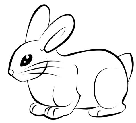 Rabbit Foot Drawing Free Download On Clipartmag