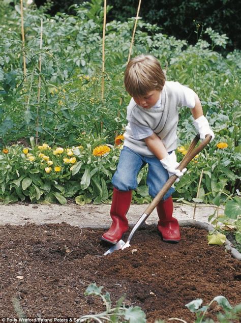 Make Your Garden Work For You Invent Your Own Plot Daily Mail Online