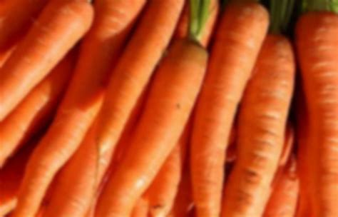 Daucus Carota Subsp Sativus Carrot Pearltrees