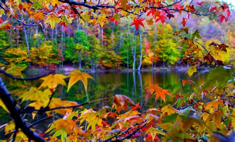 The Beautiful Autumn Wallpaper Full Hd Free Download
