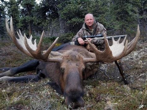 10 Day Alaska Moose Hunt For One Hunter Safari Club International