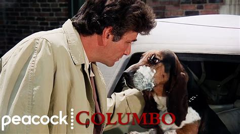 The Best Of Columbos Dog Columbo Youtube
