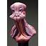 Creature Sculpting Contest  Alien Parrot Squid — Stan Winston School