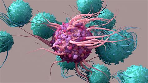 What Are Dendritic Cells