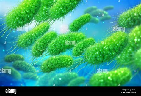 Escherichia Coli Colony Of Bacteria 3d Illustration Microorganisms In