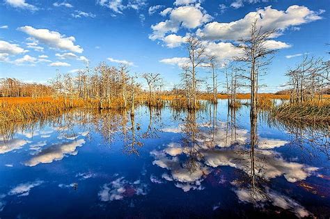 White Clouds Over The Everglades Florida Water Clouds Reflections
