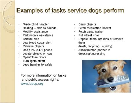 Service Dogs Therapy Dogs Emotional Support Animals