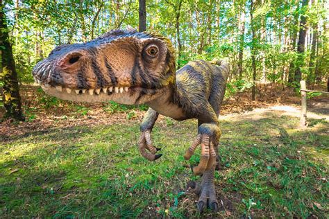 10 Busted Looking Dinosaurs From Around The World