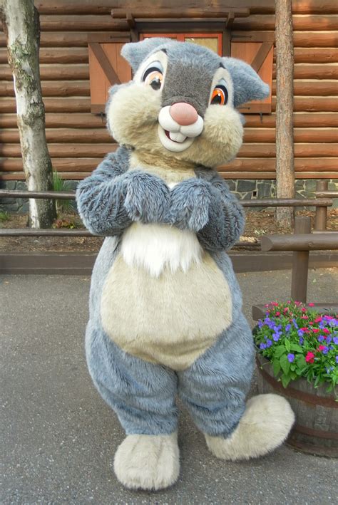 Unofficial Disney Character Hunting Guide Easter Resort Characters