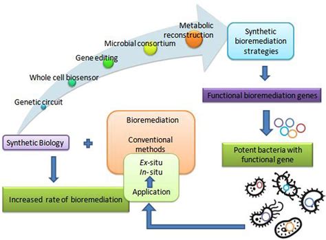 Frontiers Alternative Strategies For Microbial Remediation Of