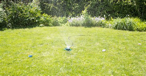 Lawn watering, how long, rules for drought conditions, how much, best time, new lawns, irrigation equipment, water distribution, water efficient lawn. Figure Out How Long To Water Your Lawn With A DIY ...