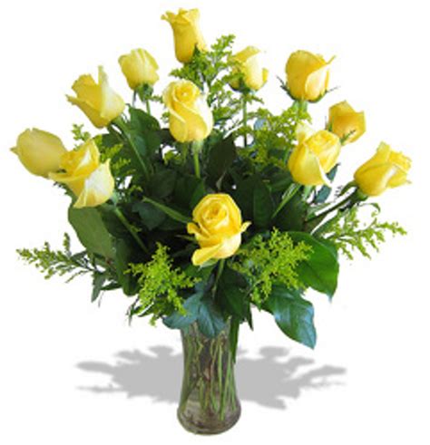 Dozen Yellow Roses Belvedere Flowers Of Havertown Pa