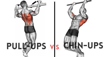 21 Best Chin Up And Pull Up Variations For A Bigger And Stronger Back