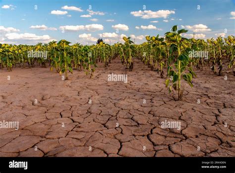 Secuencia impactante hi-res stock photography and images - Alamy