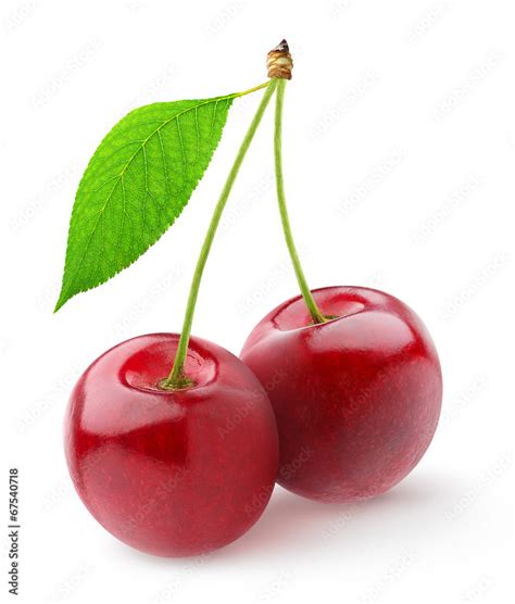Isolated Cherries Pair Of Sweet Cherry Fruits With Stems And Leaf