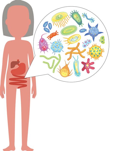 Gut Check How The Microbiome May Mediate Heart Health Blog