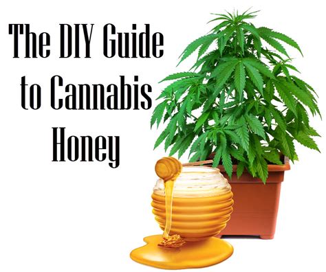 Honey In Your Cannabis Cultivation A Guarantee Of Maximum Yield