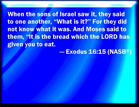 Exodus 1615 And When The Children Of Israel Saw It They Said One To