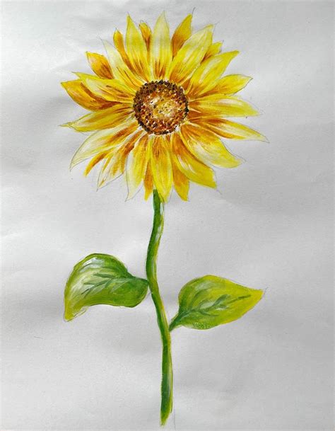 Sunflower Painting Artbase