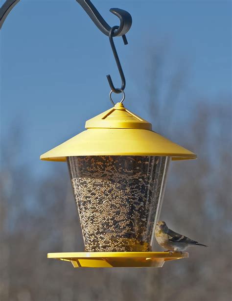 Audubon Na6231 Hopper Granary Bird Feeder 4 Lbs Assorted Colors