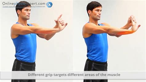 Forearm Flexor Muscle Stretch R Youtube