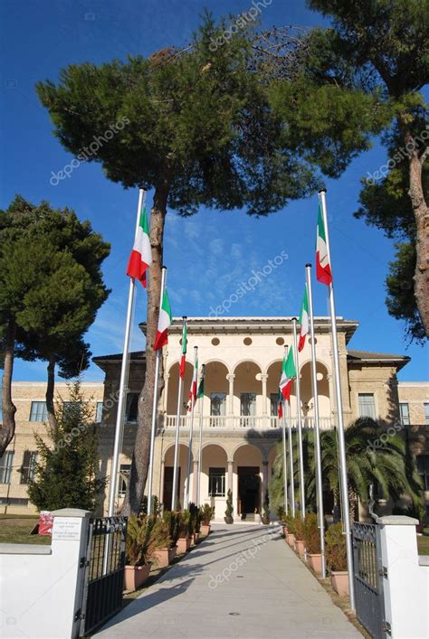 Pescara ist eine stadt in italien in der region abruzzen. Die Stadt Pescara und der Pinienwald — Stockfoto ...
