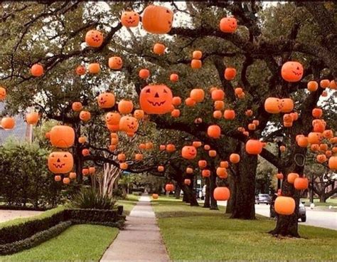 39 Fancy Halloween Decoration Ideas For This Season Halloween Outdoor