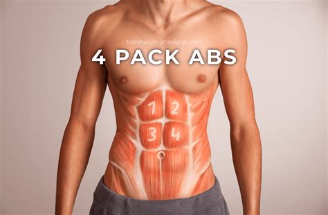 4 Pack Abs Vs 6810 Pack Men And Women Genetics Body Fat Percentage Nutritioneering