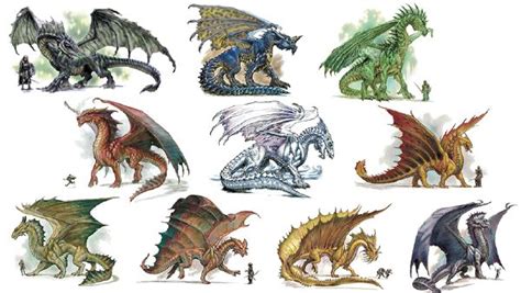 Different Types Of Dragons