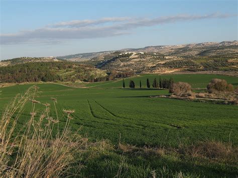 Maybe you would like to learn more about one of these? Land of Israel - Wikipedia