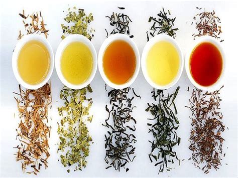 12 Types Of Teas You Need To Try Before You Die
