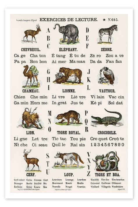 Animal Alphabet French Print By Nook Vintage Archive Posterlounge